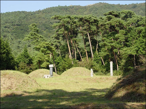 입향조 어초은의 묘가 녹우당 뒷편 적송으로 둘러쌓인 숲에 자리잡고 있다. 